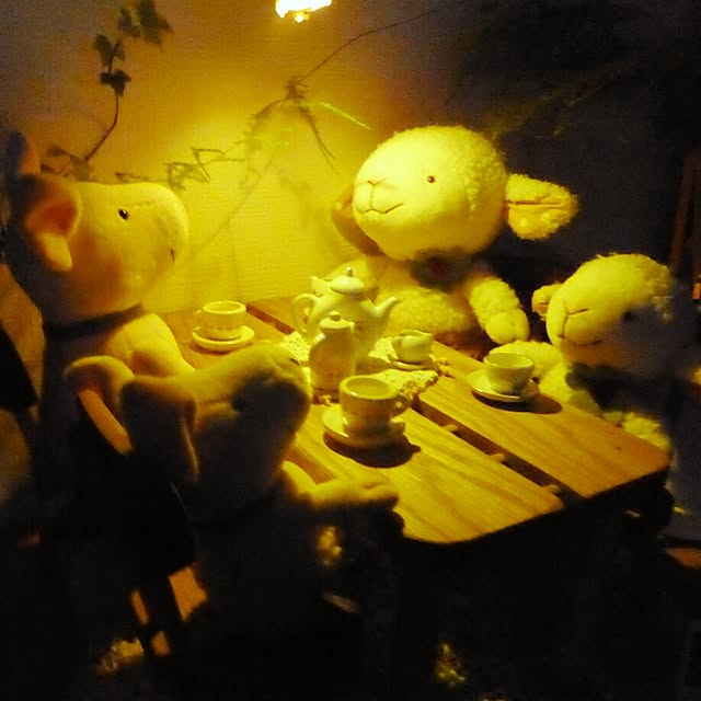 HachIさんの実例写真