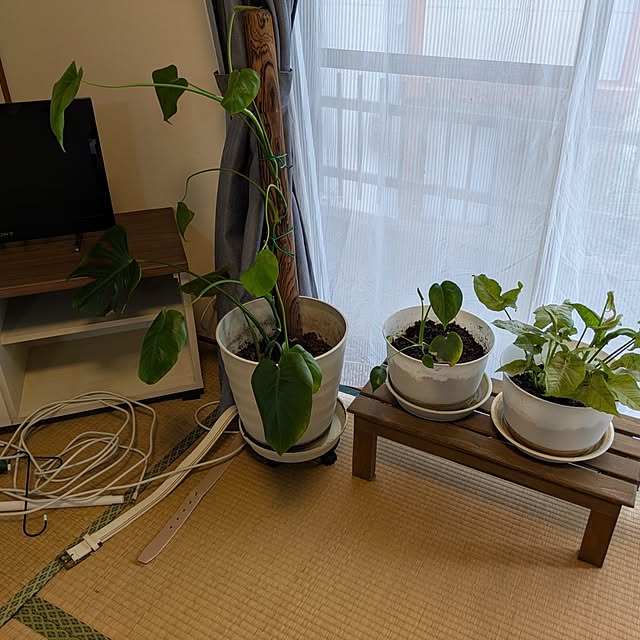 asaさんの部屋