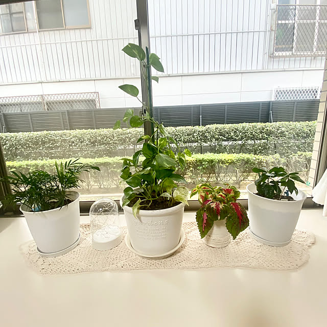 YuuKoさんの部屋