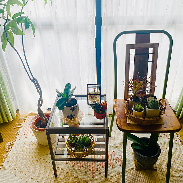 mamimoさんの部屋