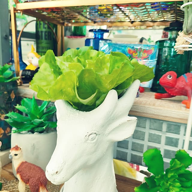 nacchanさんの部屋