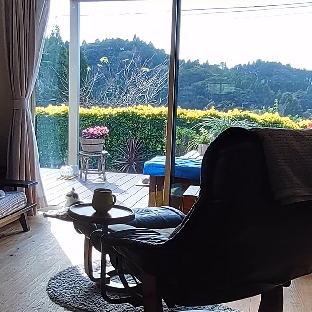 38catさんの部屋
