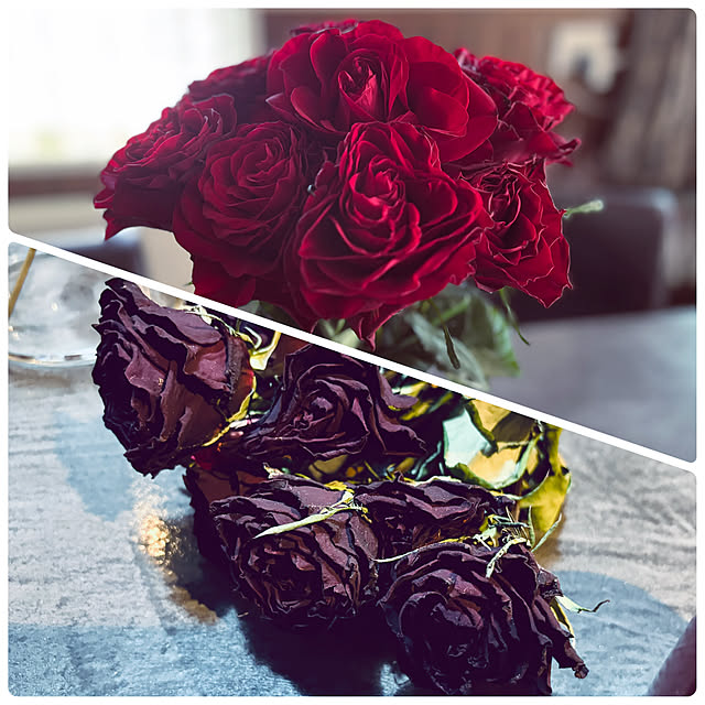 usagiさんの部屋