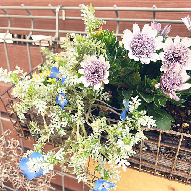 hirariさんの部屋
