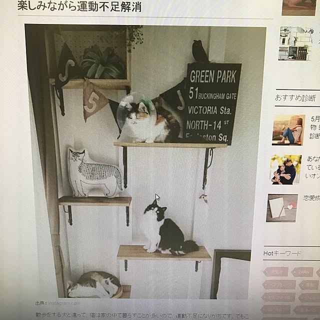 miruさんの実例写真