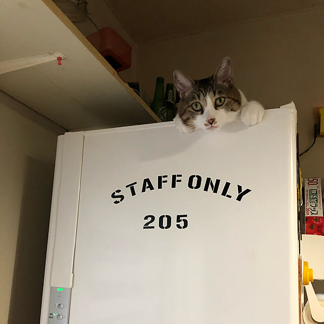 arayanさんの実例写真