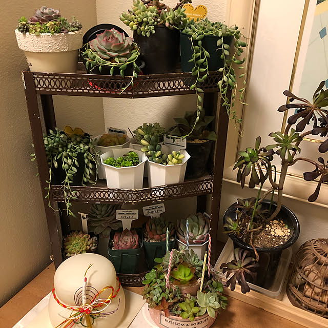 hilltopgardenさんの実例写真