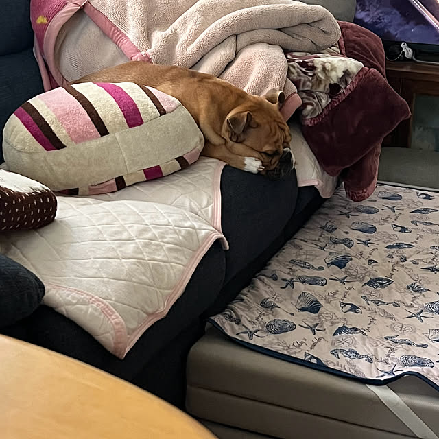 chi_gogaさんの部屋
