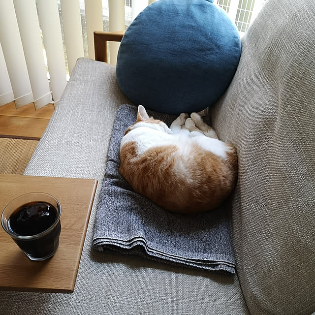 koyurizuさんの実例写真