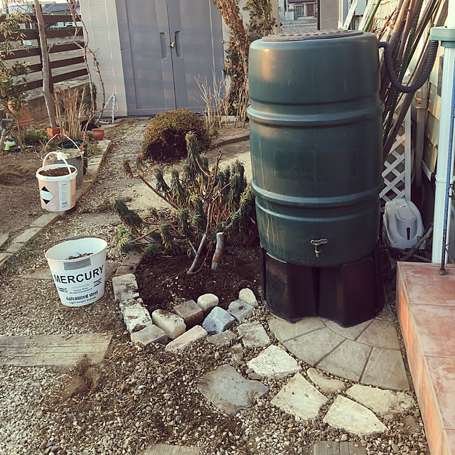 misacoさんの実例写真