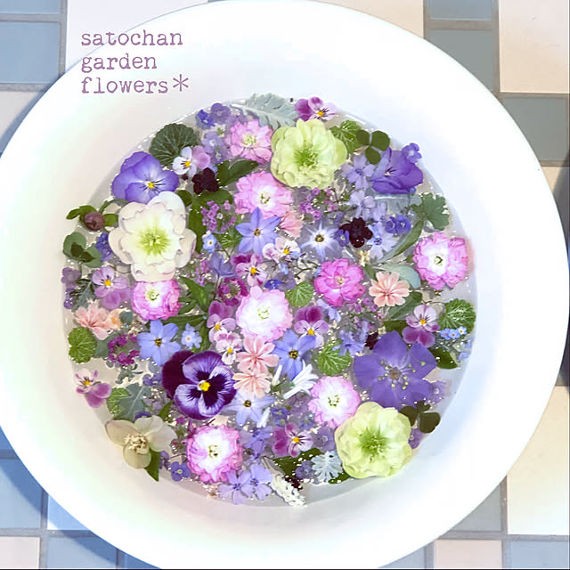 satochanさんの実例写真