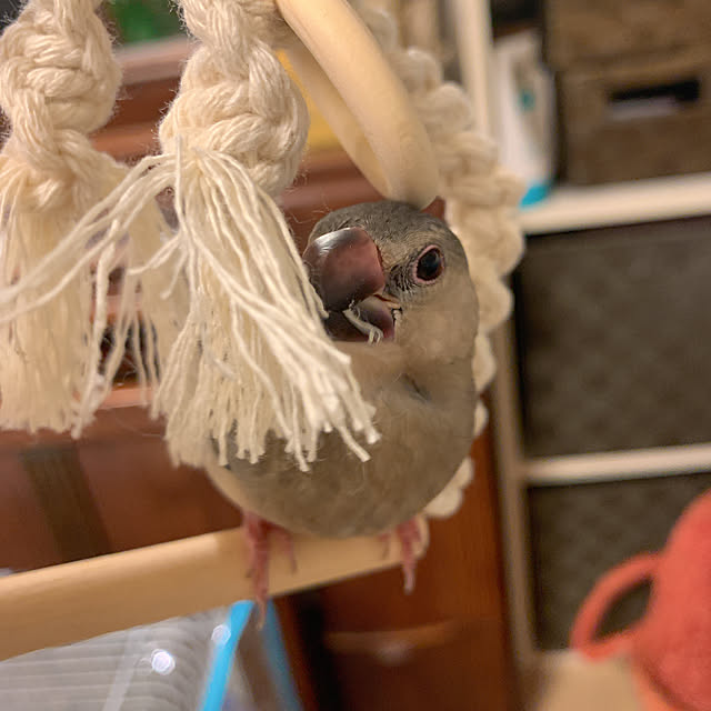 Tenさんの実例写真