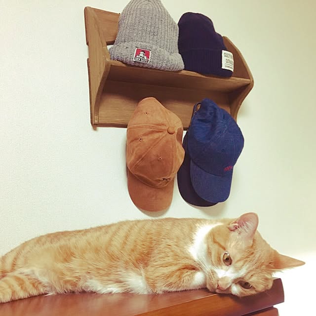 cocomaroさんの実例写真
