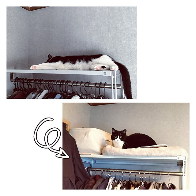 hihaさんの実例写真