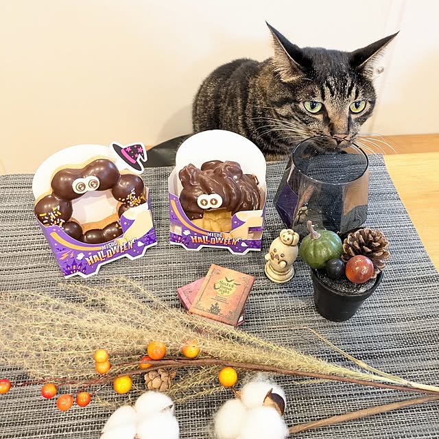hihaさんの部屋
