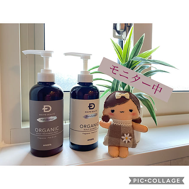 puni.punikoさんの実例写真