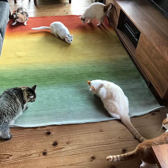 sakurasakuさんの実例写真