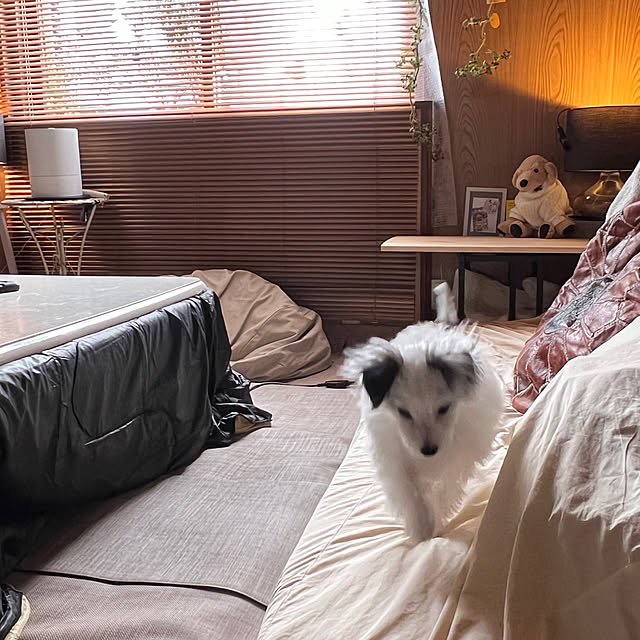 pitさんの部屋