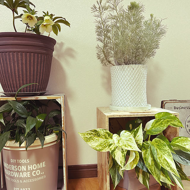 lemonlimeさんの部屋