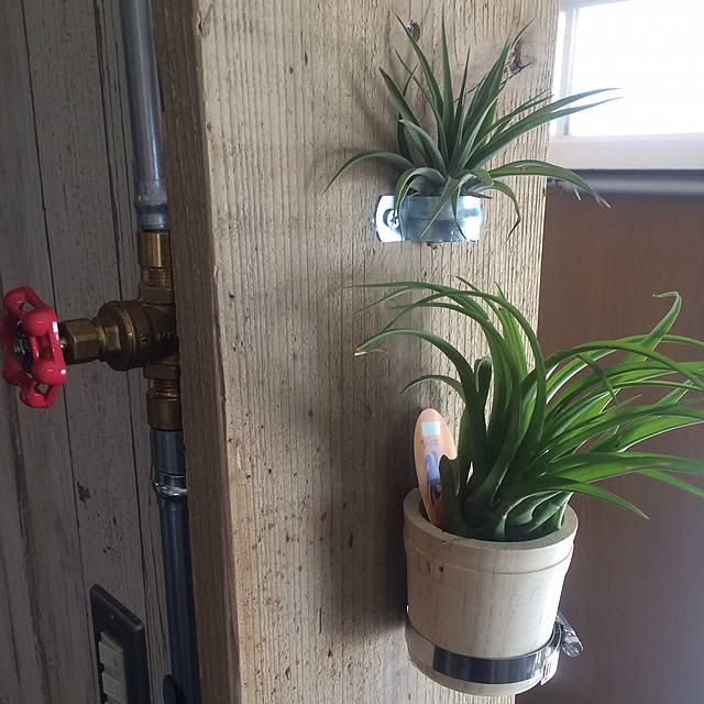 Naotoさんの実例写真