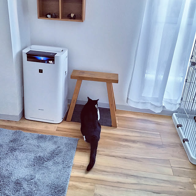 hihaさんの実例写真