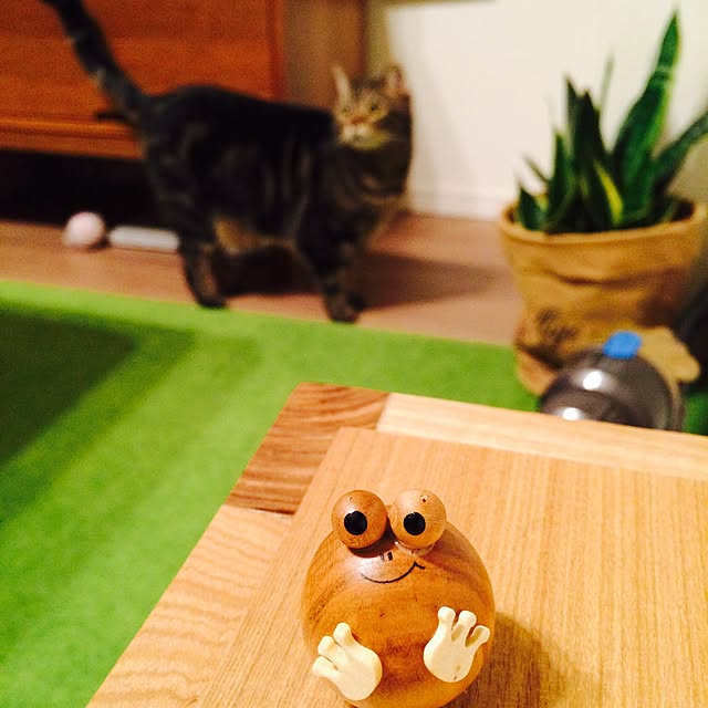 mikomaruさんの実例写真