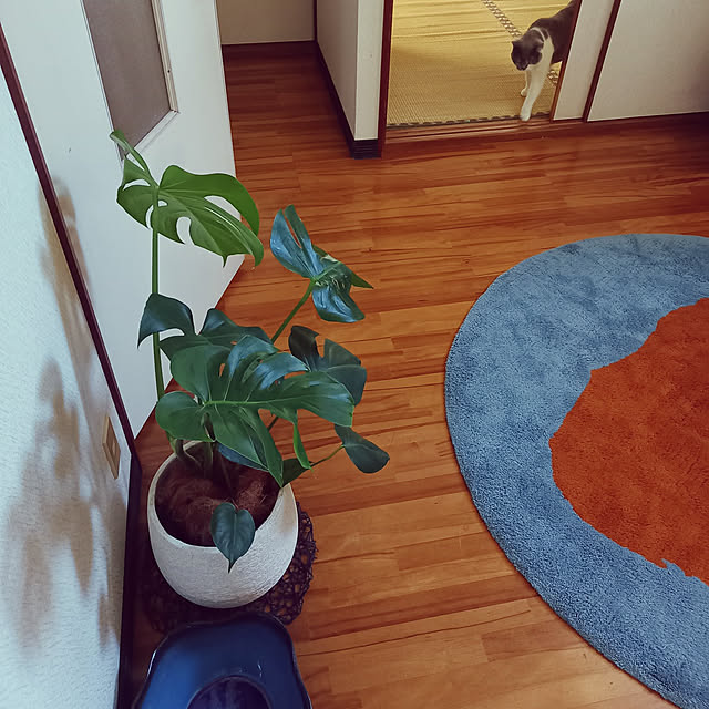 rhuさんの実例写真