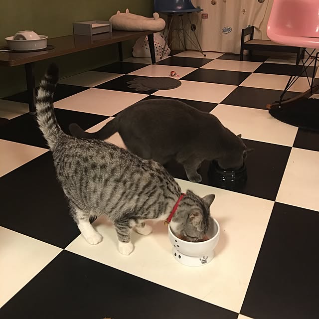 Shojiさんの実例写真