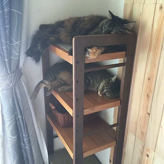 mikomaruさんの実例写真