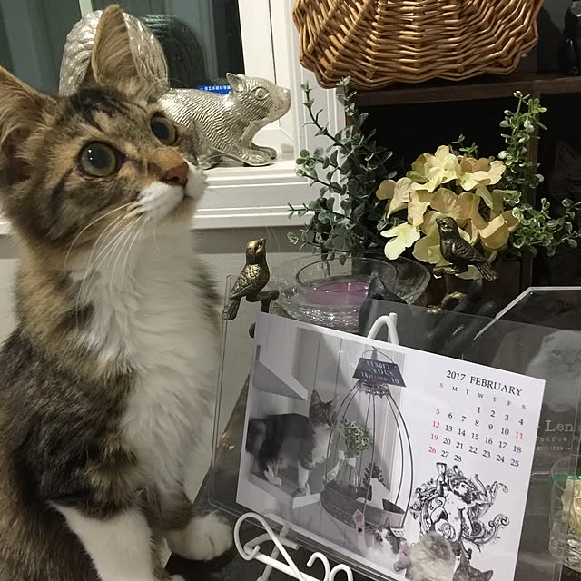 yuchiさんの実例写真
