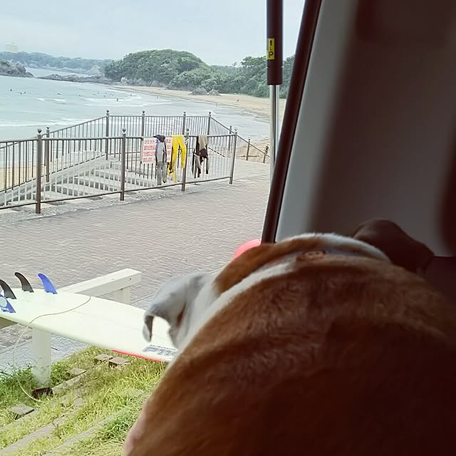 panchobiさんの実例写真