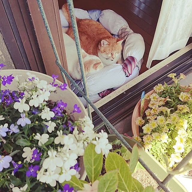 NOAHさんの部屋