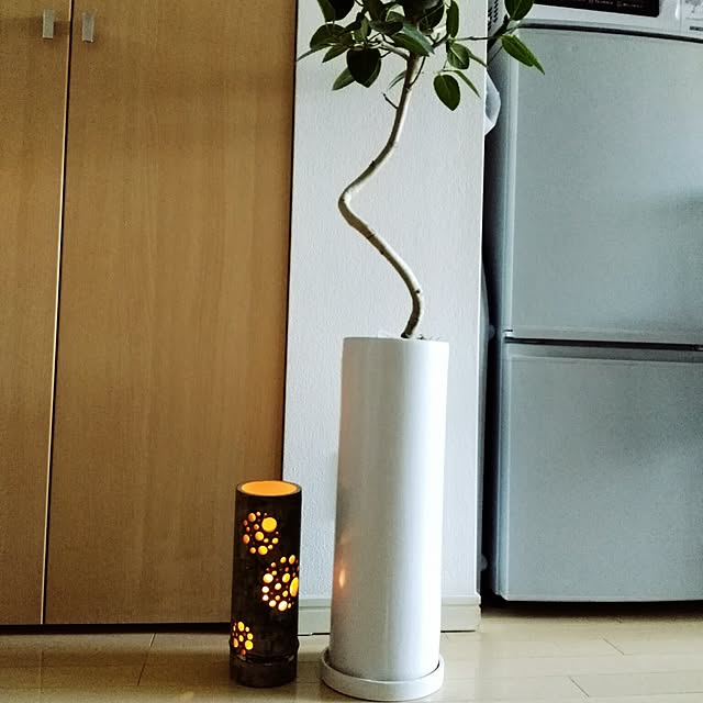 springさんの実例写真