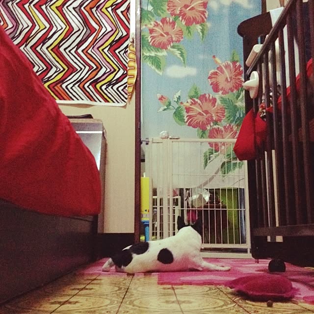 実例写真
