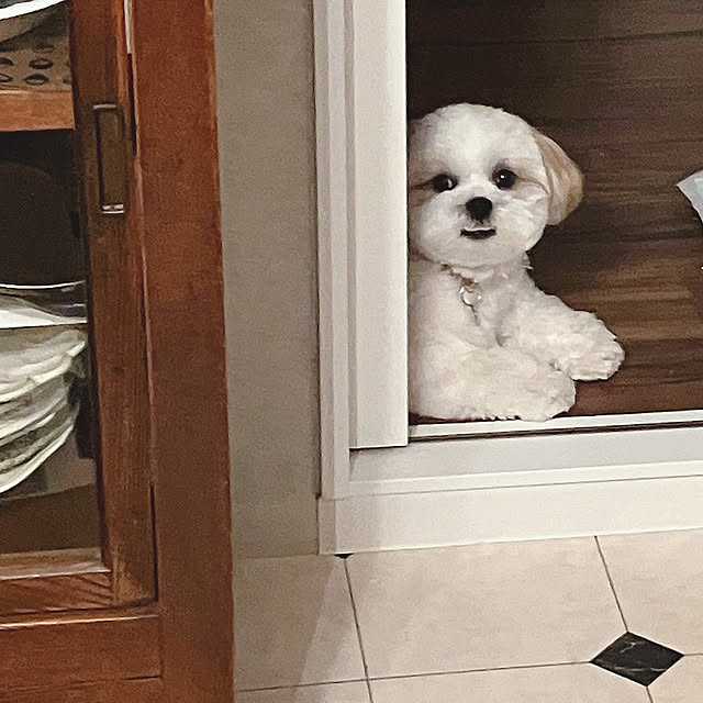 akさんの部屋