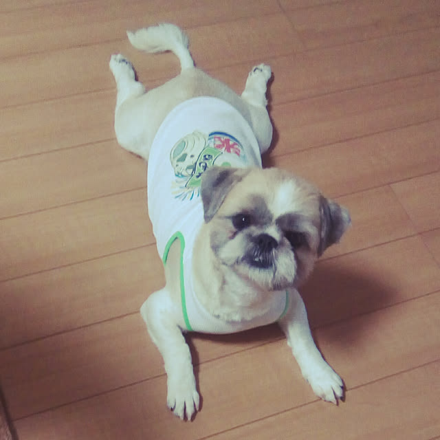 mamoruさんの実例写真