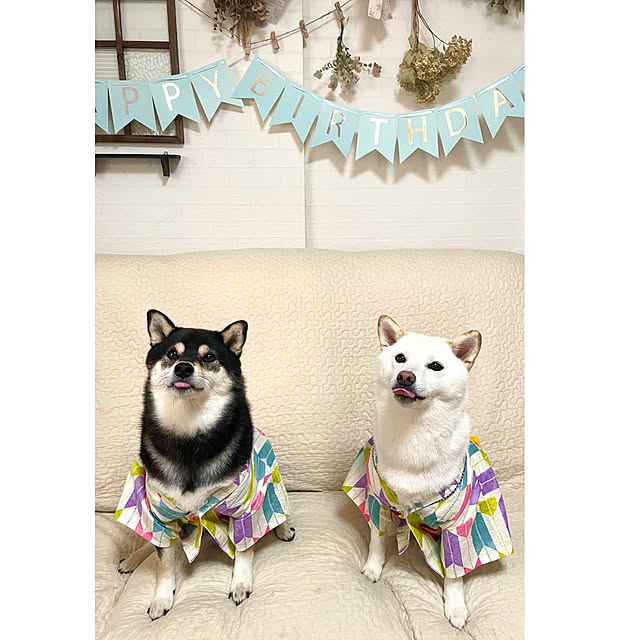 mo-nosukeさんの実例写真