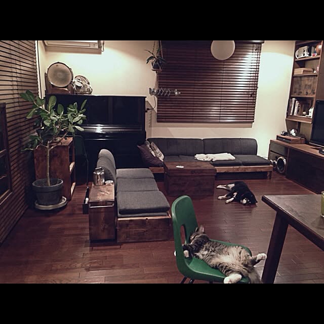jnkaiさんの実例写真