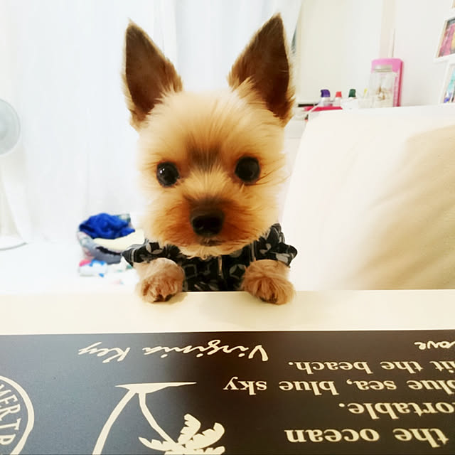 Cutemamaさんの実例写真