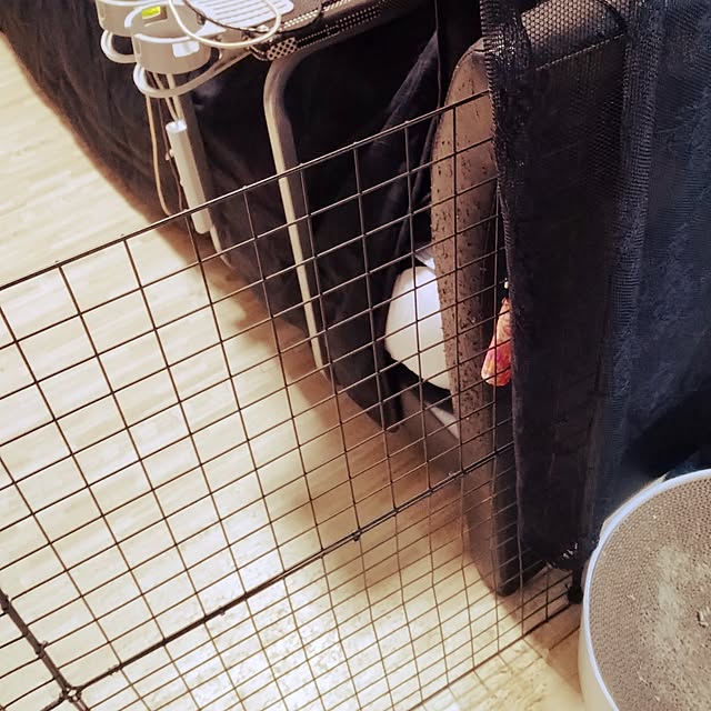 runaさんの部屋