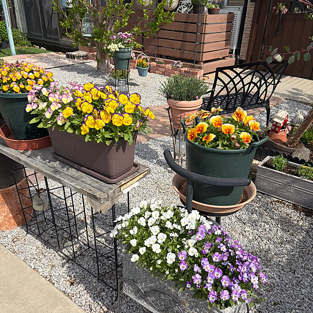 ronronさんの部屋