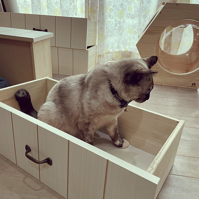 yu-iさんの部屋
