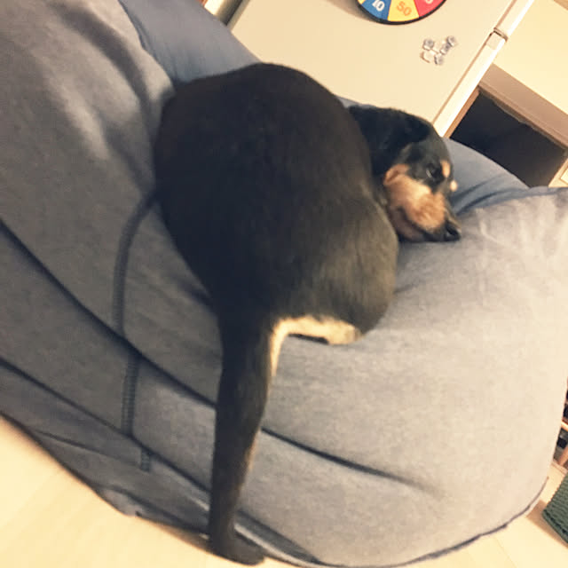 ohanaさんの実例写真