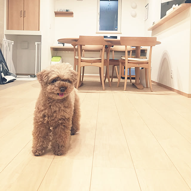 kilala_pさんの実例写真