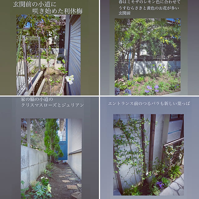 yokoさんの実例写真