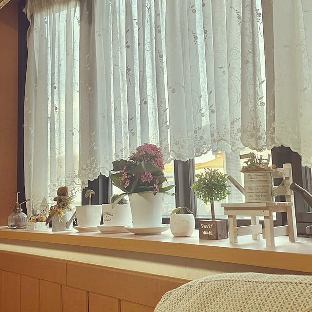makimamoさんの部屋