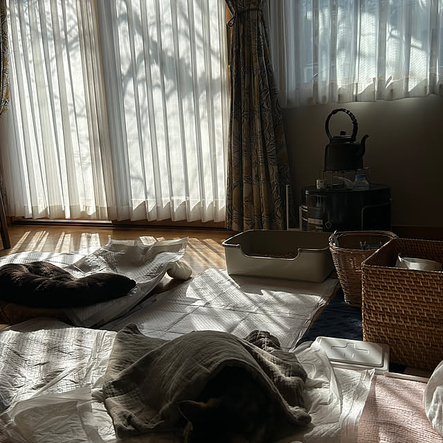 botanさんの部屋