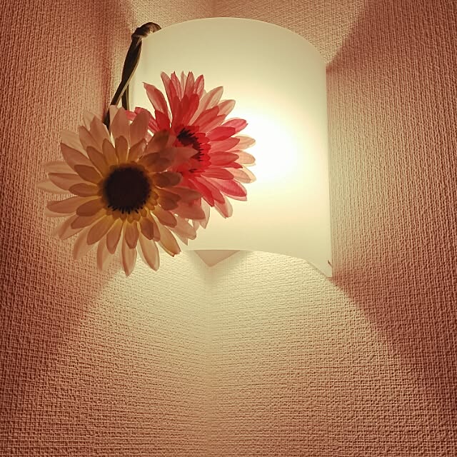 ribubuさんの実例写真