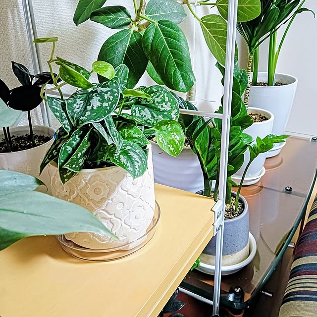 hanachanさんの部屋