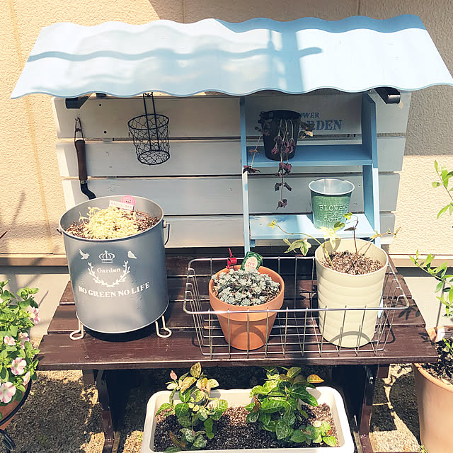 ckさんの実例写真
